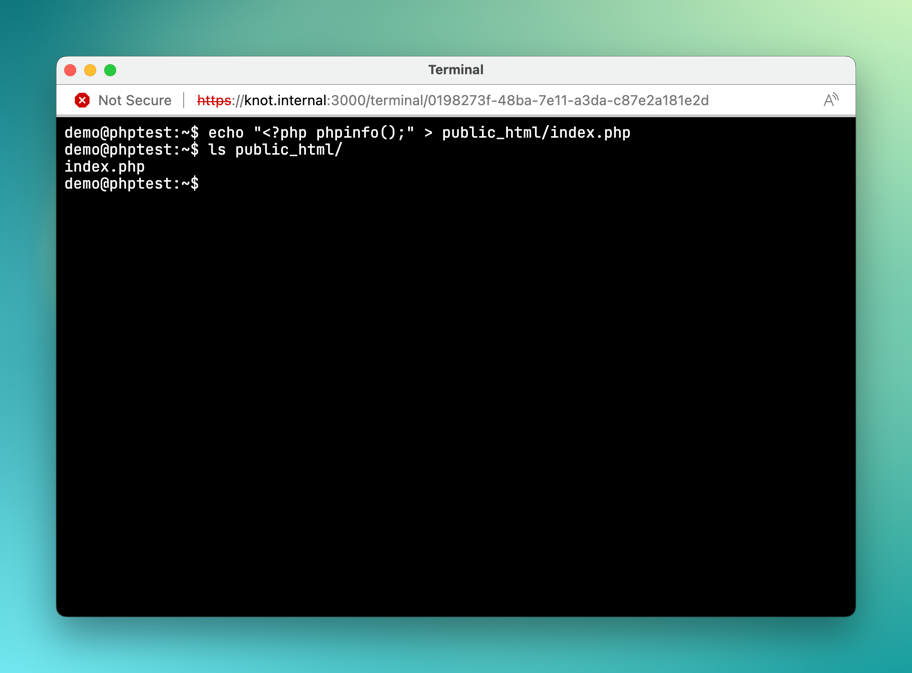 Creating a phpinfo Script