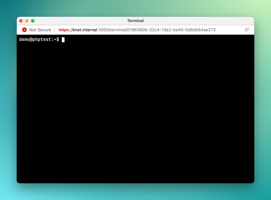 Web Based Terminal